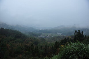 山间雾景 绿意盎然的山谷