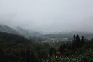 山间云雾缭绕的静谧景致