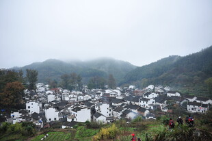 雾中静谧山村景色