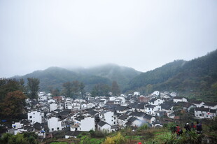雾中白墙黑瓦的宁静村落