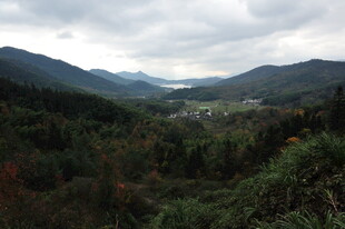 山间景色 绿意盎然