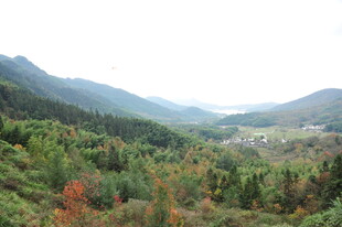 山林间的秀丽自然景致