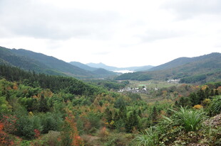 山间多彩林景 远村隐现