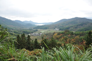 山间秋景 绿意与秋色交织