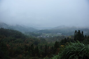 山间雾景 隐现村落风光