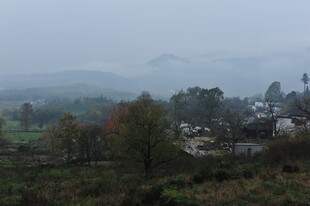 雾中乡村美景