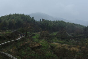 山间绿野 蜿蜒小路