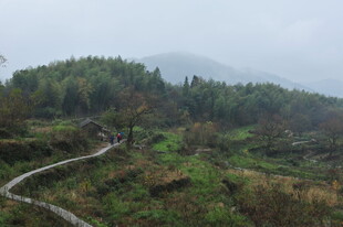 山间蜿蜒小路 绿意盎然