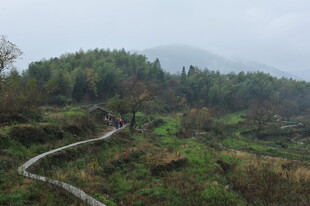 山间蜿蜒小径 绿意盎然