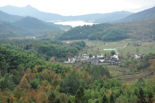 山间村落 绿意环绕的美景