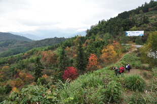 秋日山林徒步美景