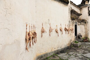 墙边晾晒的腊味