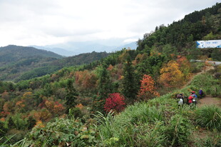 秋日山林徒步美景