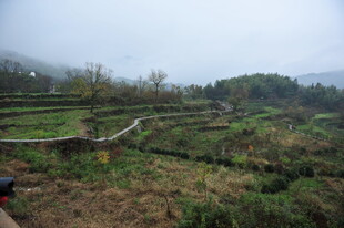 山间梯田景色