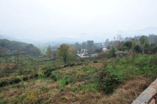 山间田野朦胧景致