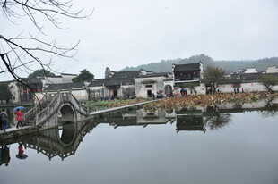 江南水乡静谧湖景风光
