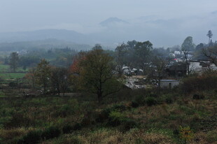 乡村雾景 静谧田园风光
