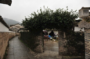 古巷人家 静谧村落景致