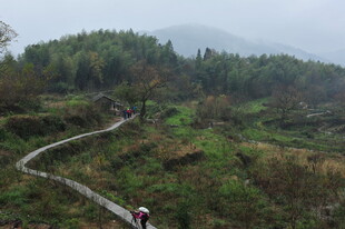 山间小径漫步的美丽景致