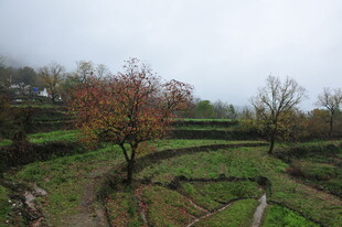 乡村田野间的秋日景致