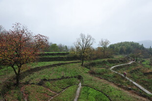 山间梯田田园风光美景