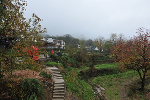 山间小径赏秋日田园风光