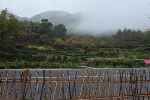 山间雾绕竹栏乡村景致