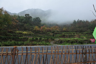 雾中乡村景致