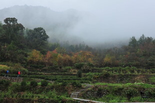 山间雾绕秋景如画