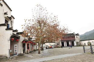 古村落街道秋景