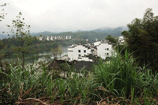 山间湖畔绿意盎然景色