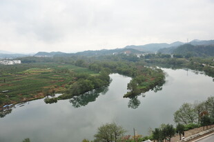 蜿蜒河流穿山林美景
