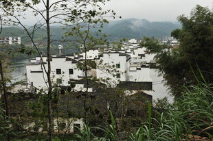 山村白墙建筑隐于绿意中