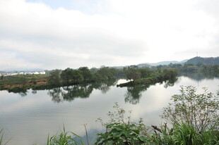 宁静河畔自然风光