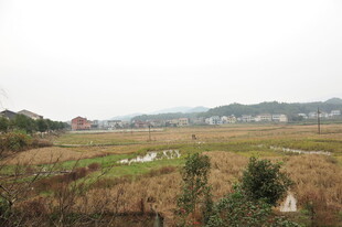 乡村田野风光景色