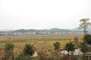 乡村田野风光景色