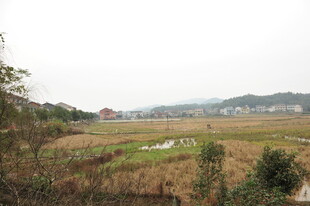 乡村田野风光景色