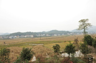 乡村田野风光景色