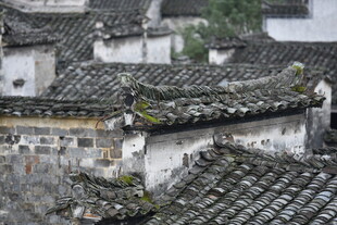 古村落屋顶风貌