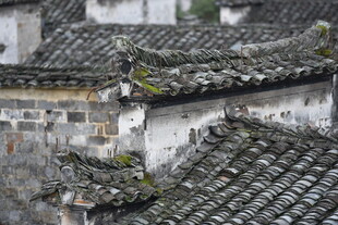 古旧屋顶 岁月斑驳痕迹