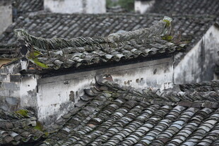 古朴徽派屋顶瓦片景致