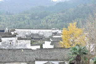徽派古村落风景