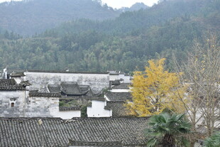 徽派古村落秋景