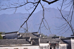 徽派民居与远山枯树