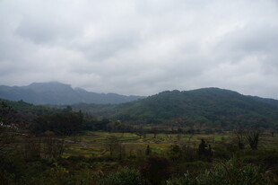 山间绿野 云雾缭绕之景