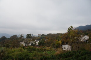 山村景致 云雾缭绕的村落