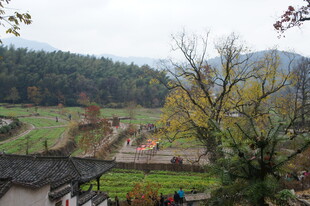 乡村田园风光景色