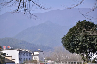 山村远景 屋树与远山相映