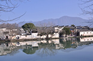 江南水乡湖畔静谧景致