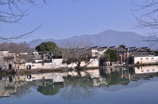 江南水乡湖畔宁静景致